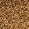 crisp-finest-maris-otter-ale-malt