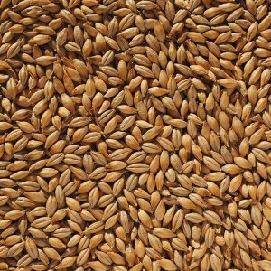 crisp-finest-maris-otter-ale-malt