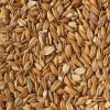 crisp-flaked-torrefied-oats