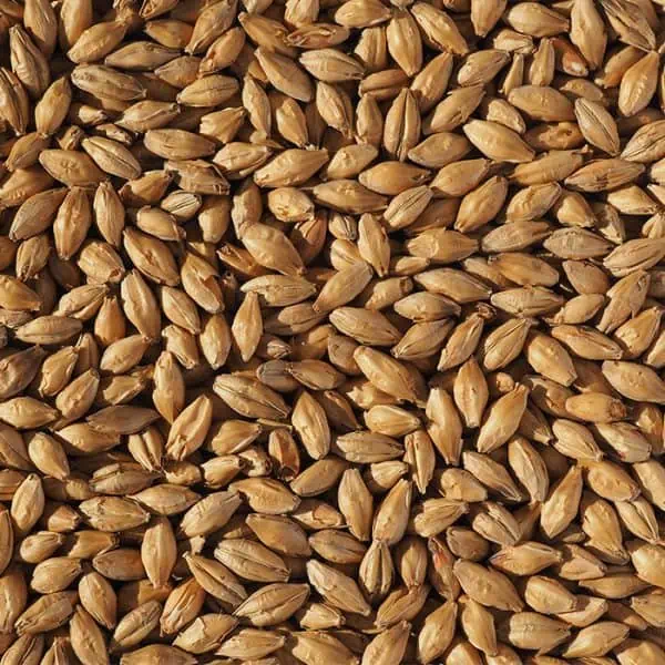 crisp-vienna-malt
