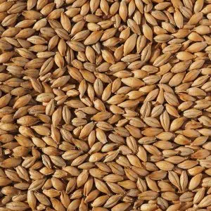 crisp extra pale maris otter malt