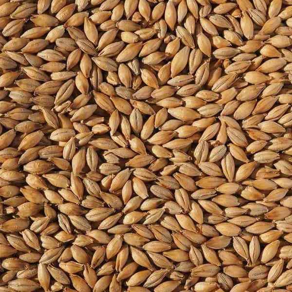 crisp extra pale maris otter malt