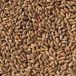 crisp-rye-malt