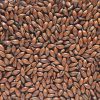 crisp-chocolate-malt