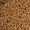 light-crystal-150-malt