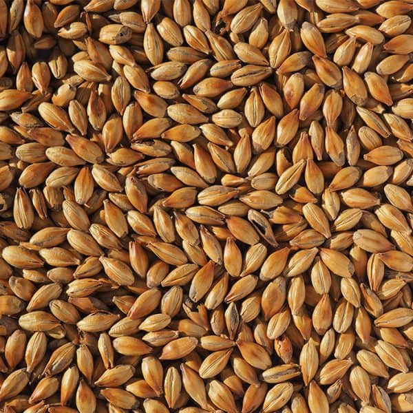 light-crystal-150-malt