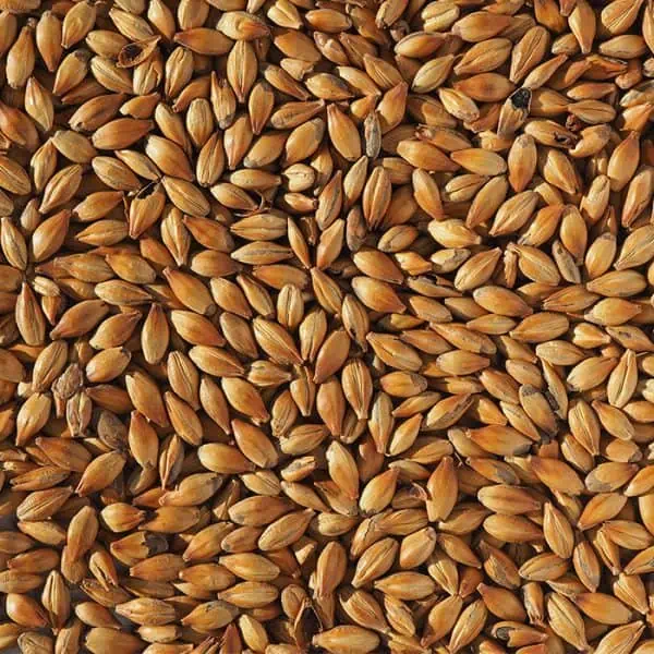 crisp-medium-crystal-240-malt