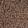 crisp-roasted-barley