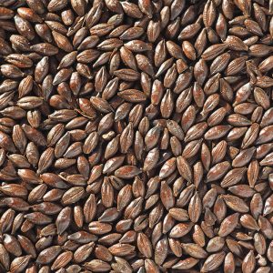 crisp-roasted-barley