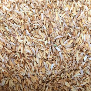 rijsthulzen-homebrew